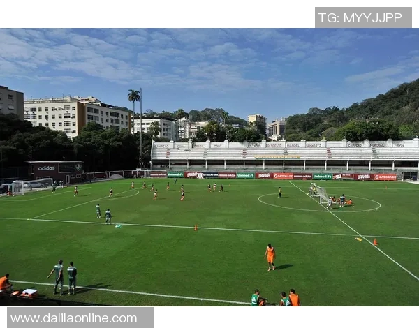 巴西足球甲级联赛的历史、发展与未来趋势分析